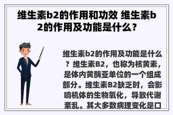 维生素b2的作用和功效 维生素b2的作用及功能是什么？